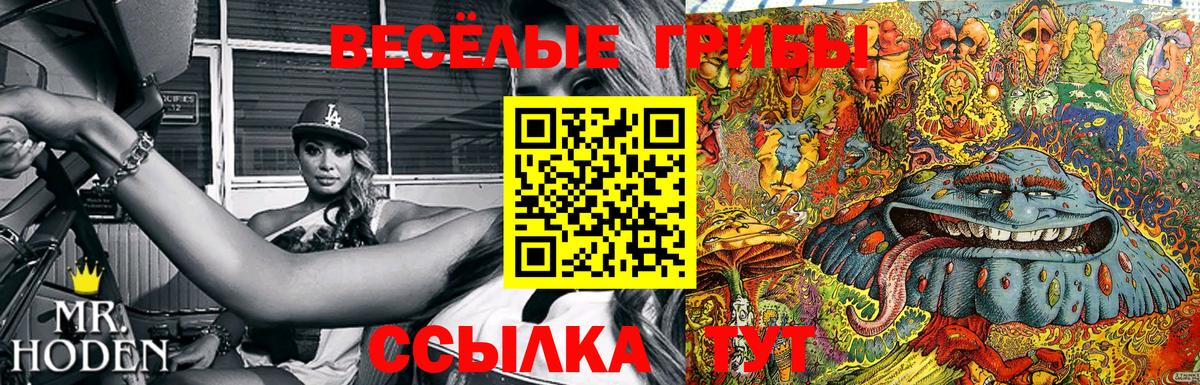 Галлюциногенные грибы Cubensis  Псилоцибиновые грибы ЛСД  Вход с VPN  Сунжа 