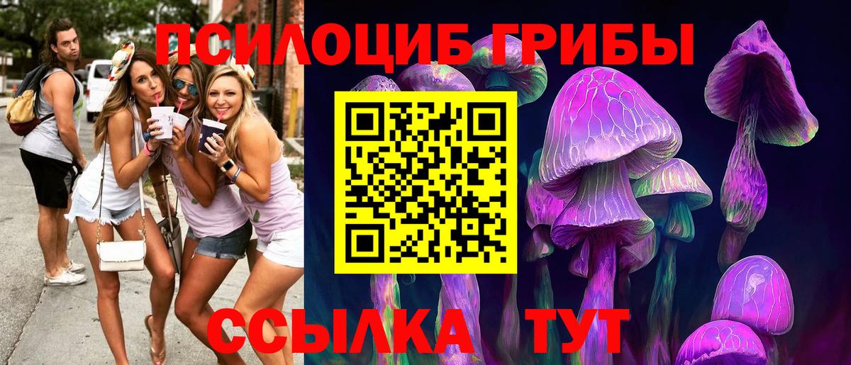 Галлюциногенные грибы Psilocybine cubensis Сунжа
